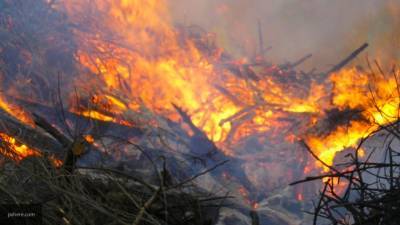 Сложный лесной пожар в Бурятии тушат 145 человек