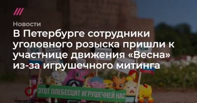 В Петербурге сотрудники уголовного розыска пришли к участнице движения «Весна» из-за игрушечного митинга
