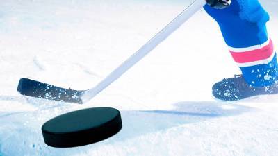 Смоленская спортивная школа по хоккею получит новые оборудование и тренажеры