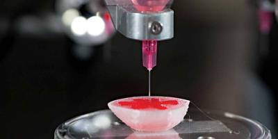 Учёные нашли метод печати органов внутри человека