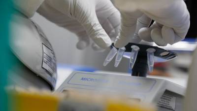 В России провели более 17,5 млн тестов на коронавирус