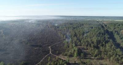 В Чернобыльской зоне снова горел лес: пожар локализовали, остались только очаги тления