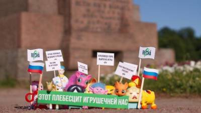 В Петербурге прошли игрушечные пикеты и митинг против поправок в Конституцию