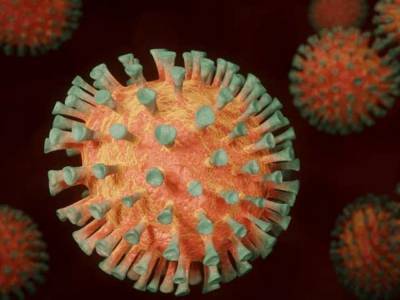 За минувшие сутки на Закарпатье выявлено 103 случая коронавируса