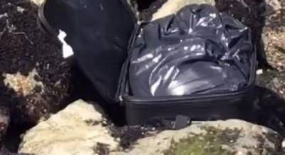 В американском Сиэтле тиктокер нашел "загадочный" чемодан, в котором оказался труп (видео)