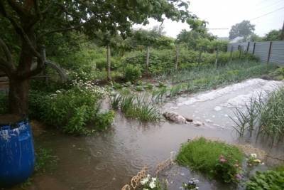 В Туле затопило участки с луком и капустой в Мясново