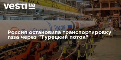 Россия остановила транспортировку газа через "Турецкий поток"