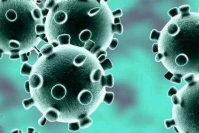 В Архангельской области подтвердили 12 смертей от коронавируса