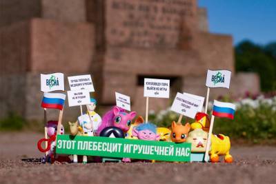В Петербурге силовики пришли к активистке после «игрушечного митинга»