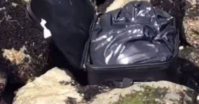 В США блогер снимал видео в TikTok, а нашел чемодан с человеческими останками