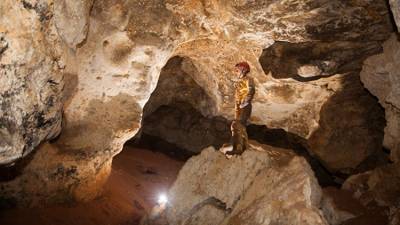 Крымские ученые создадут виртуальную копию пещеры "Таврида"