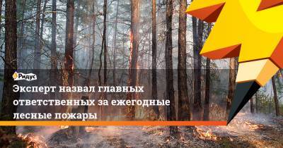 Эксперт назвал главных ответственных за ежегодные лесные пожары