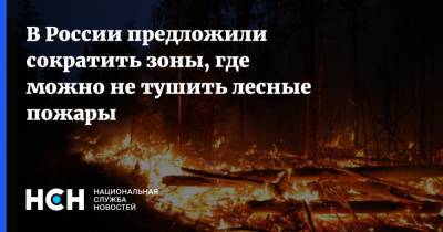 В России предложили сократить зоны, где можно не тушить лесные пожары