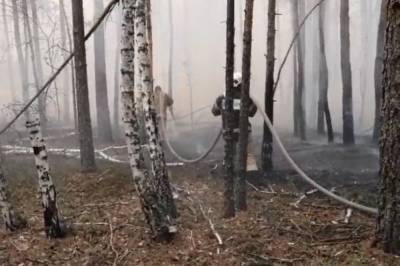 В Чернобыльской зоне потушили пожар - vkcyprus.com - Гсчс