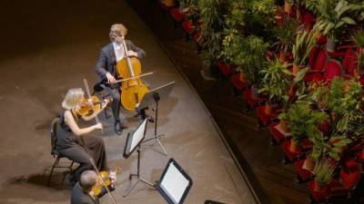 Музыканты в Барселоне устроили концерт для растений.