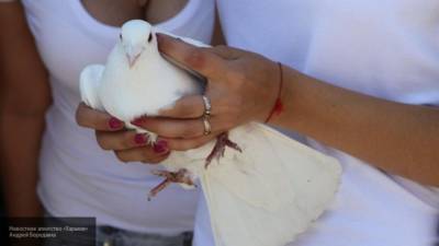 Школьница-садистка рассказала, почему вырывала у голубя перья в Краснотурьинске