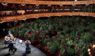 Видео дня: Барселонский оперный театр сыграл концерт для деревьев