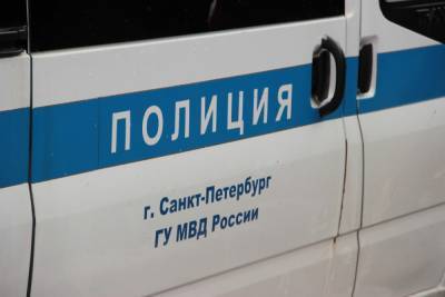 Петербургские полицейские перешли в усиленный режим из-за голосования по Конституции