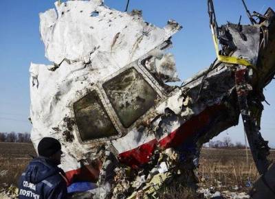 В деле МН17 заговорили о том, что самолет могли сбить украинские военные