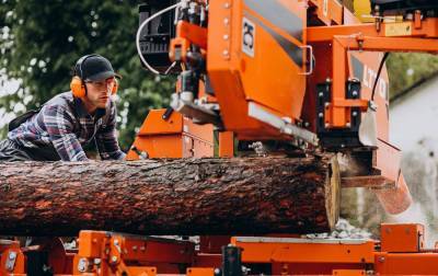В Украине можно проверить онлайн законность заготовки древесины