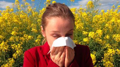 Эксперт предупредил об опасности цветения злаковых трав для аллергиков