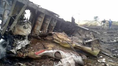 Защита по делу MH17 считает, что украинские военные могли сбить самолет случайно