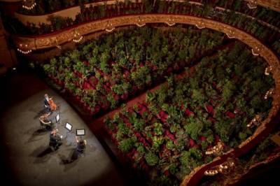 Необычные зрители: оперный театр в Барселоне дал концерт для растений (ВИДЕО)