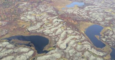 Что скрывает вечная мерзлота: залежи метана в термокарстовых озерах