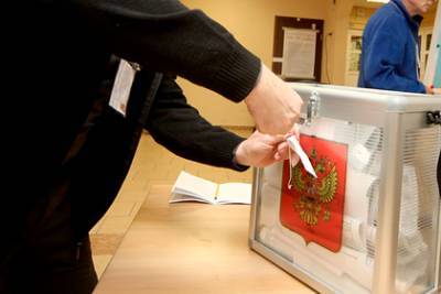 В ЦИК рассказали о защите бюллетеней на голосовании по поправкам к Конституции