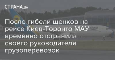 После гибели щенков на рейсе Киев-Торонто МАУ временно отстранила своего руководителя грузоперевозок