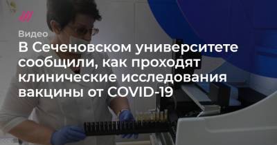 В Сеченовском университете сообщили, как проходят клинические исследования вакцины от COVID-19