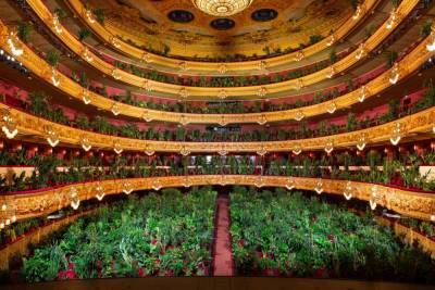 Концерт для зрителей в горшках. Оперный театр в Испании выступил перед тысячами комнатных растений
