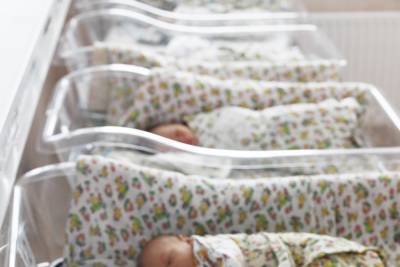 В московской квартире нашли 5 новорожденных детей без взрослых