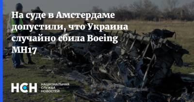 На суде в Амстердаме допустили, что Украина случайно сбила Boeing MH17