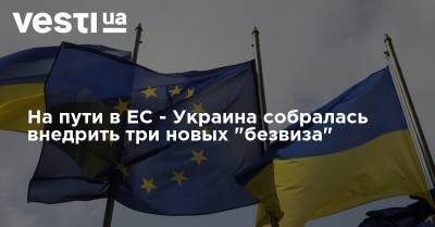На пути в ЕС - Украина собралась внедрить три новых "безвиза"