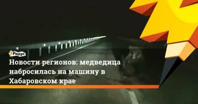 Новости регионов: медведица набросилась на машину в Хабаровском крае