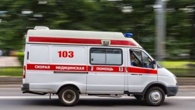 Видео: Найденных в московской квартире беспризорных младенцев госпитализировали