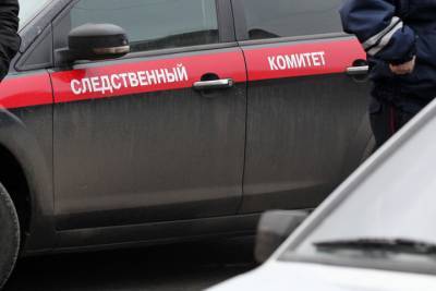СК возбудил дело после обнаружения пятерых младенцев в Москве