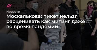 Москалькова: пикет нельзя расценивать как митинг даже во время пандемии