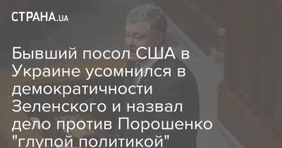 Бывший посол США в Украине усомнился в демократичности Зеленского и назвал дело против Порошенко "глупой политикой"