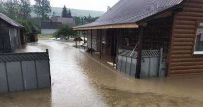 Наводнение в Закарпатской области: в результате сильных осадков подтоплены дворы и погреба