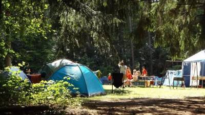 Детские лагеря в Ленобласти заработают со 2 июля
