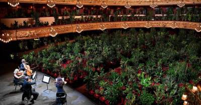 Опера Барселоны сыграла концерт для 2 292 цветов: их подарят медикам