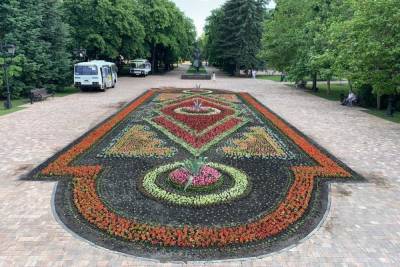 Крупнейший в крае цветник украсит Парад Победы в Ставрополе