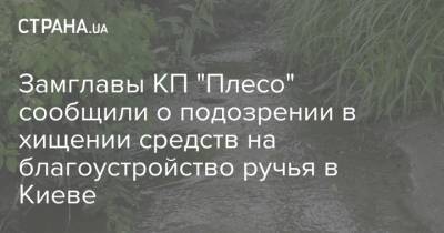 Замглавы КП "Плесо" сообщили о подозрении в хищении средств на благоустройство ручья в Киеве