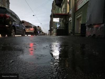 Сильный дождь затопил улицы и приусадебные участки в Тульской области