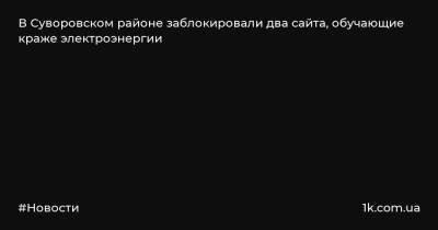 В Суворовском районе заблокировали два сайта, обучающие краже электроэнергии