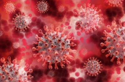 Американский ученый опроверг существование коллективного иммунитета к коронавирусу