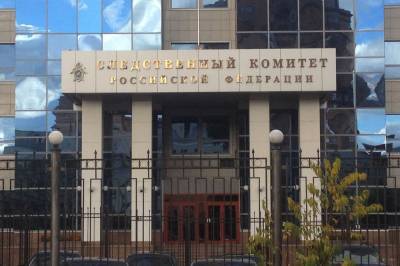 СК РФ поручил доложить обстоятельства дела о найденных в Москве детях