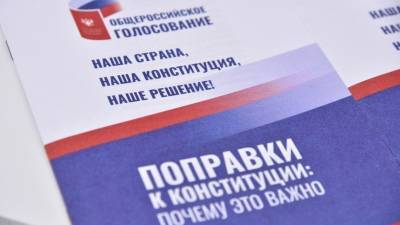 В сети появились документы о спонсировании срыва голосования по Конституции в РФ
